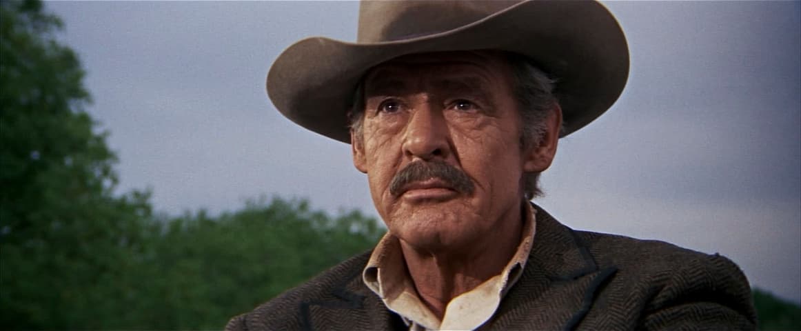 Image 1 de The Wild Bunch