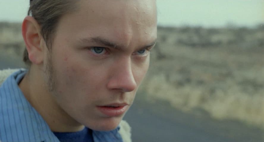 Image 1 de My Own Private Idaho