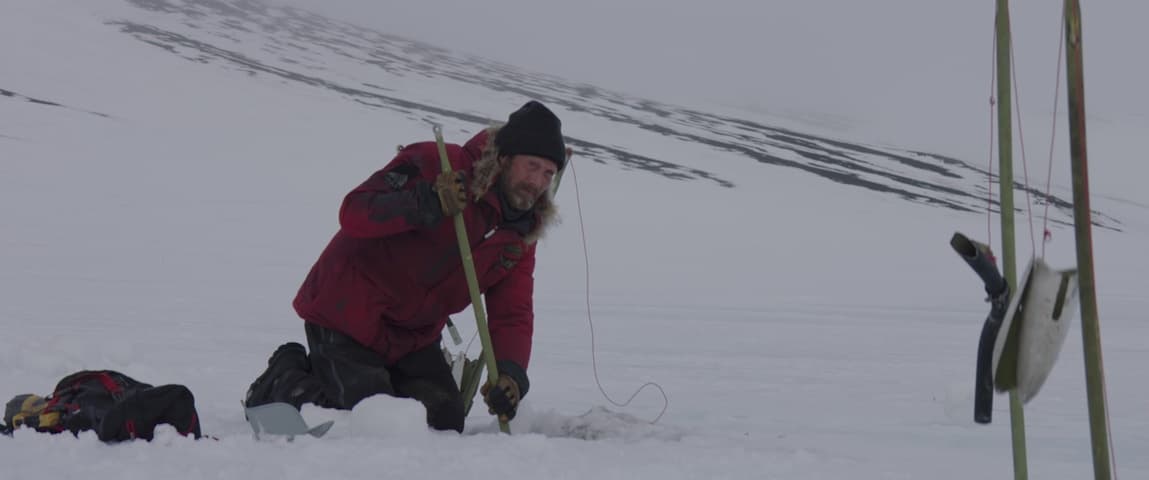 Image 3 de Arctic