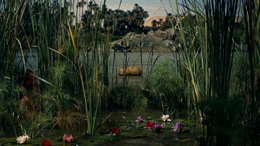 Image 3 de The Ten Commandments