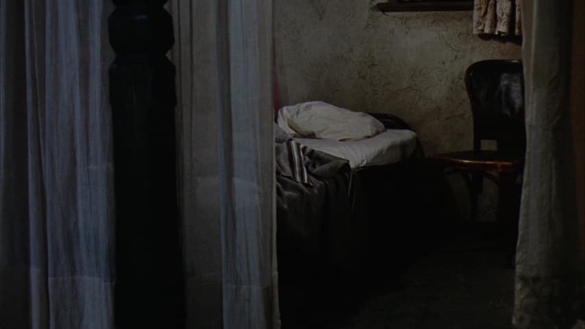 Willy Wonka & the Chocolate Factory frame 3