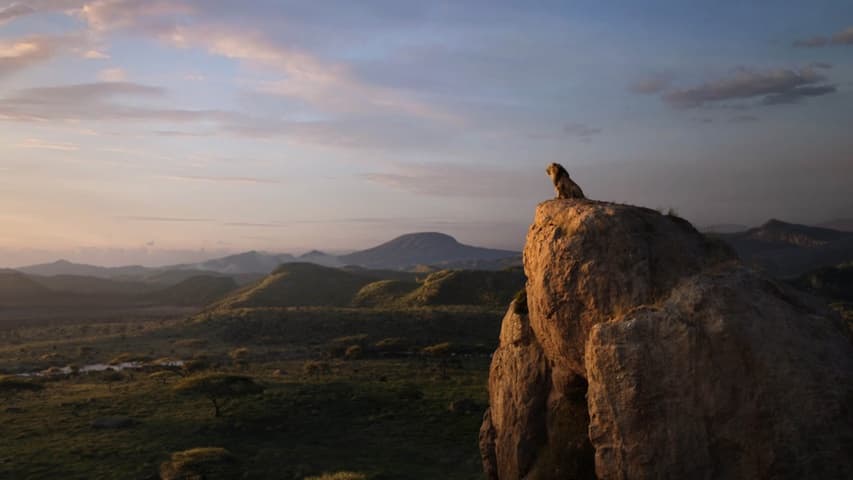 Image 2 de The Lion King