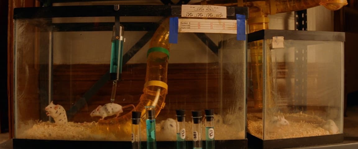 Image 2 de The Royal Tenenbaums