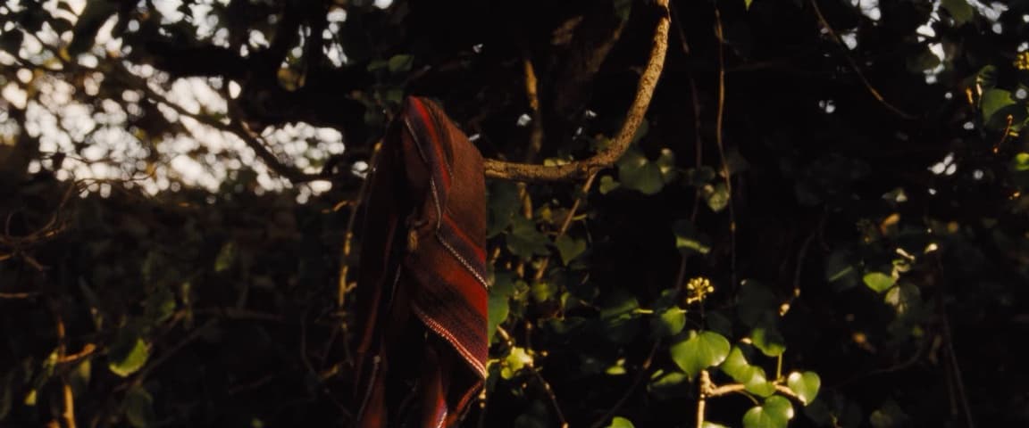 Far from the Madding Crowd frame 2