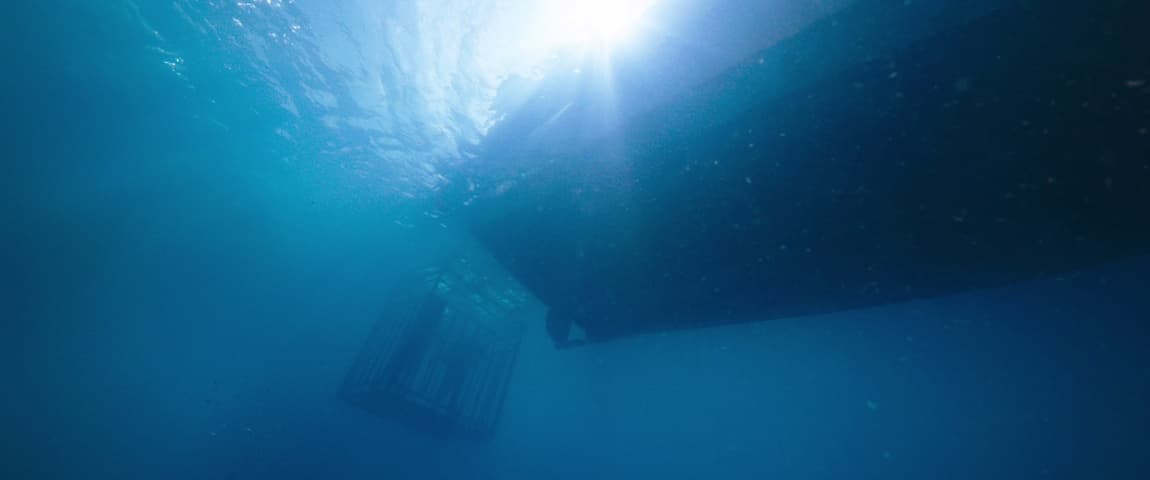 Image 4 de 47 Meters Down