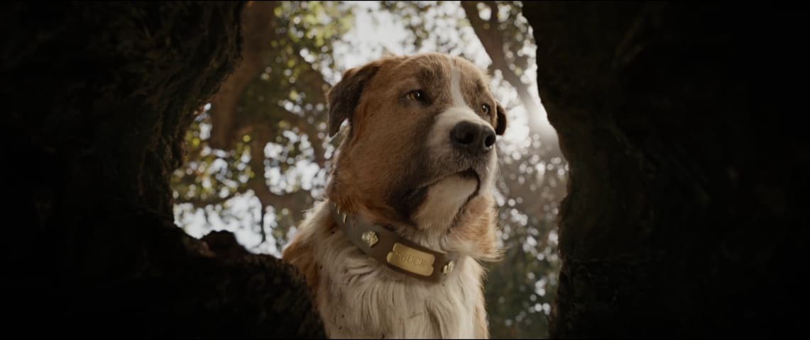 Image 2 de The Call of the Wild