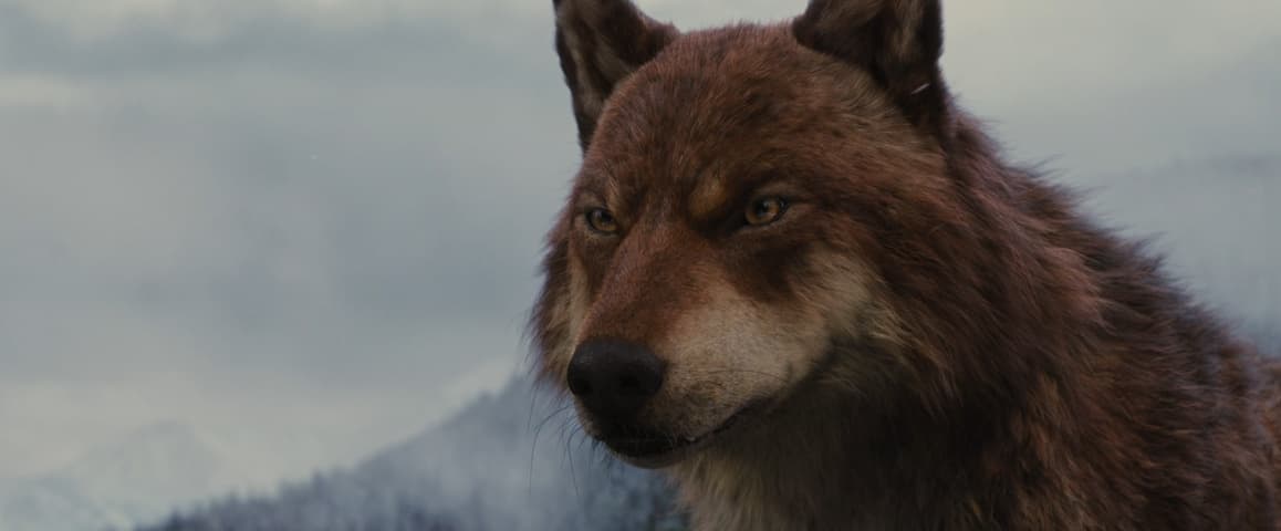 The Twilight Saga: Breaking Dawn – Part 2 frame 4