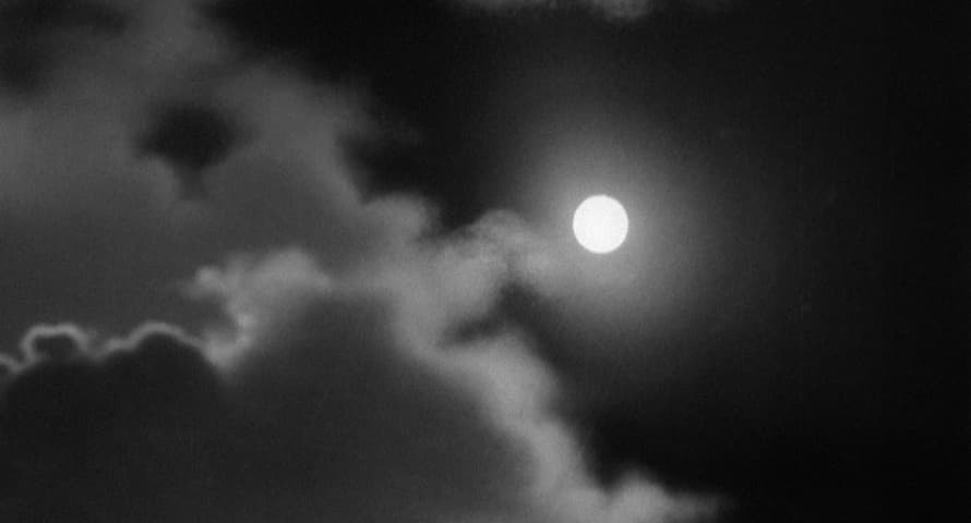 Image 4 de Young Frankenstein