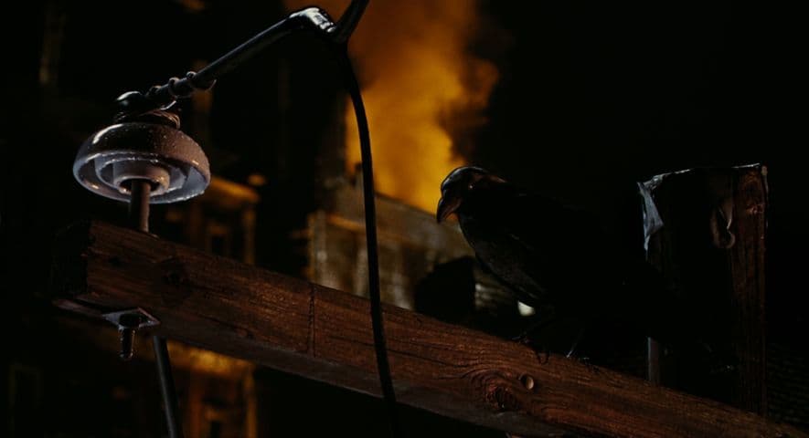 The Crow frame 4