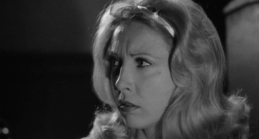 Image 2 de Young Frankenstein