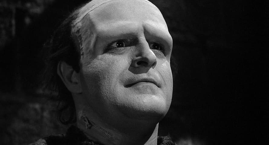 Image 3 de Young Frankenstein