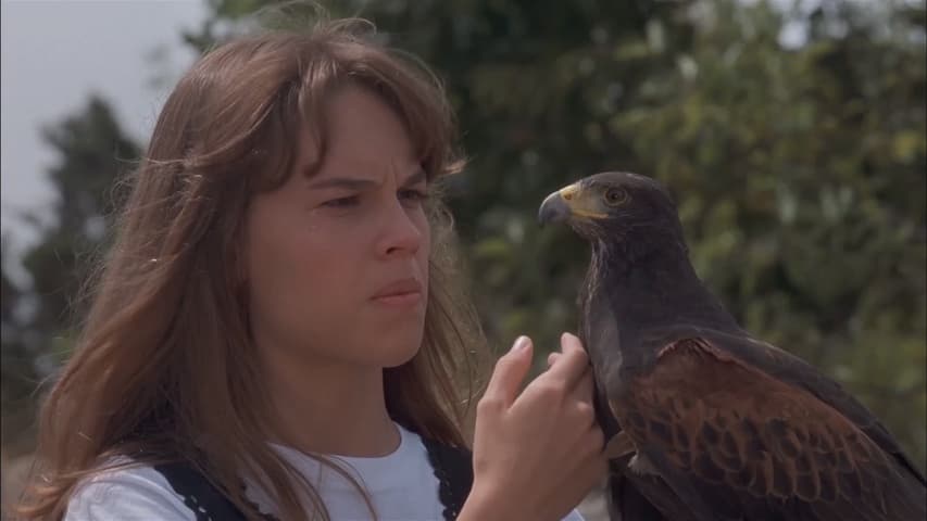 Image 3 de The Next Karate Kid
