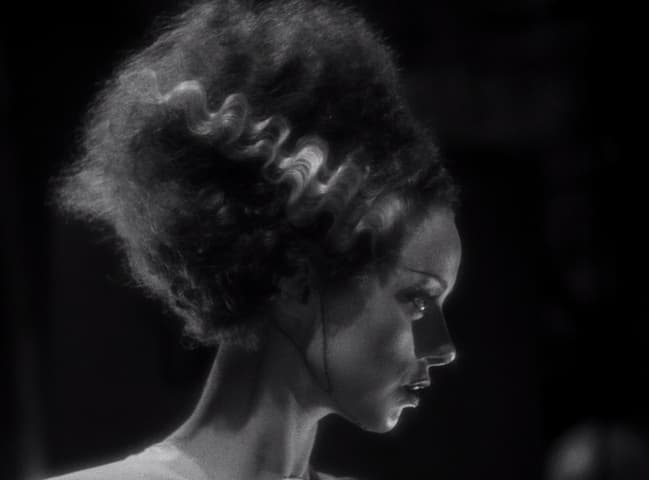 Image 3 de Bride of Frankenstein