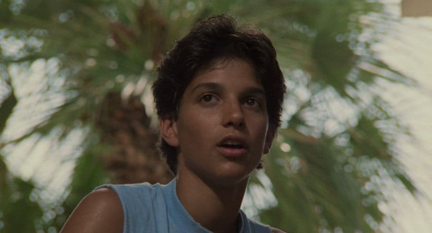 Image 4 de The Karate Kid