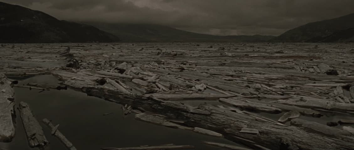 The Road, кадр 3