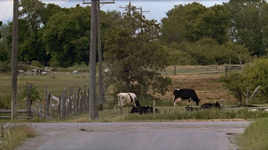 Image 2 de Footloose