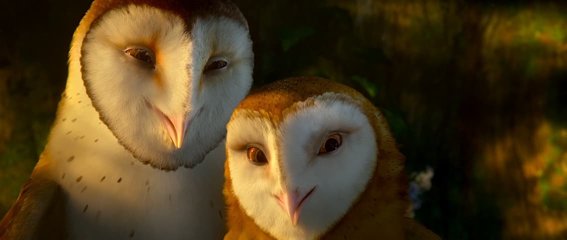 Legend of the Guardians: The Owls of Ga'Hoole frame 4
