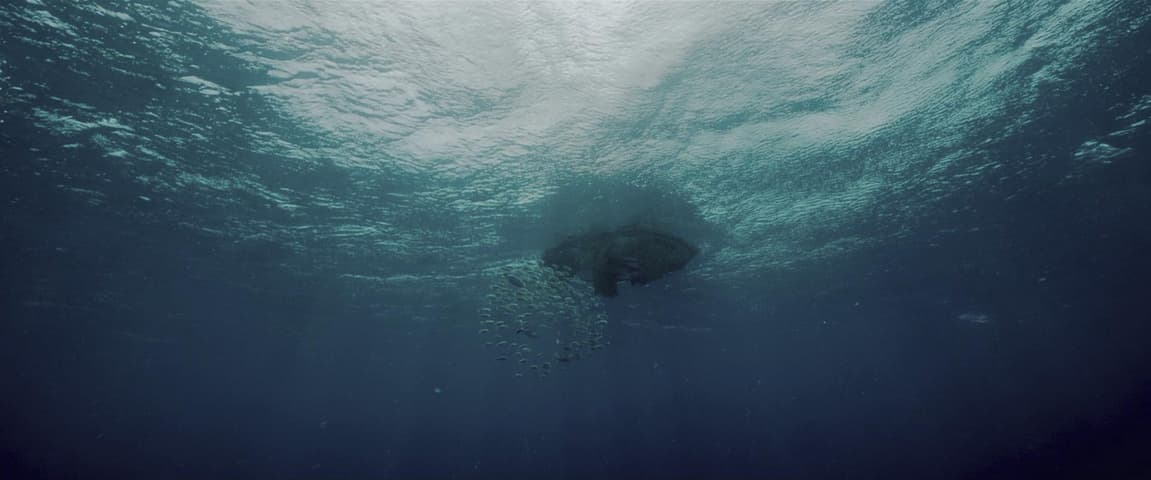 All Is Lost frame 4