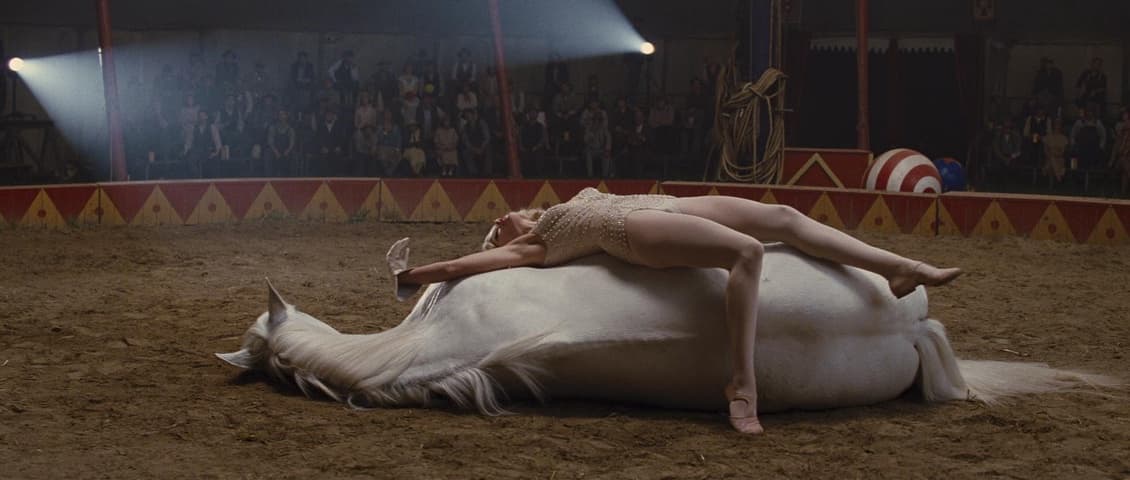Image 2 de Water for Elephants