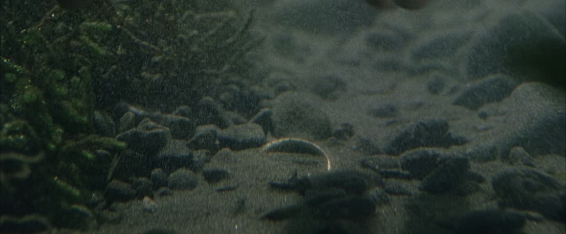 The Lord of the Rings: The Return of the King frame 2