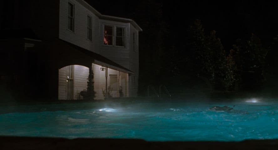 Big Fish frame 1