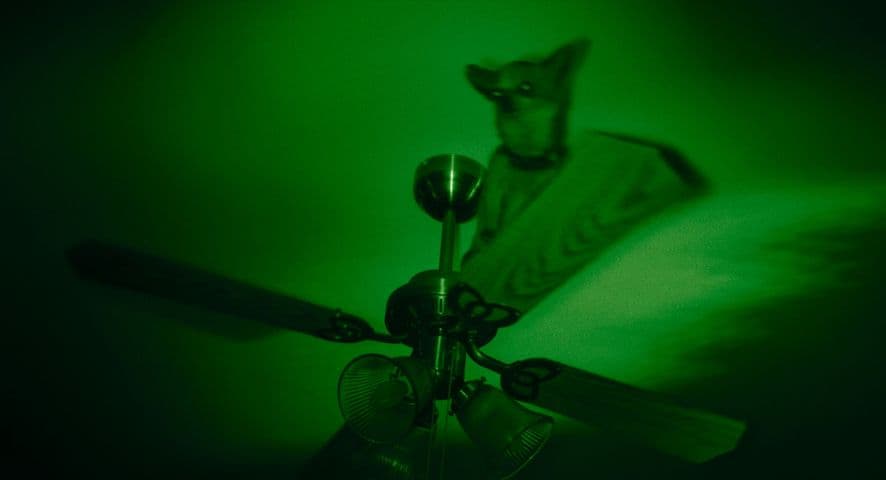 Beetlejuice Beetlejuice frame 3