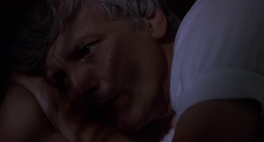 Image 4 de Cinema Paradiso