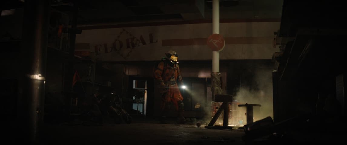 Image 4 de Finch