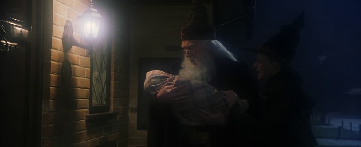 Image 4 de Harry Potter and the Philosopher's Stone