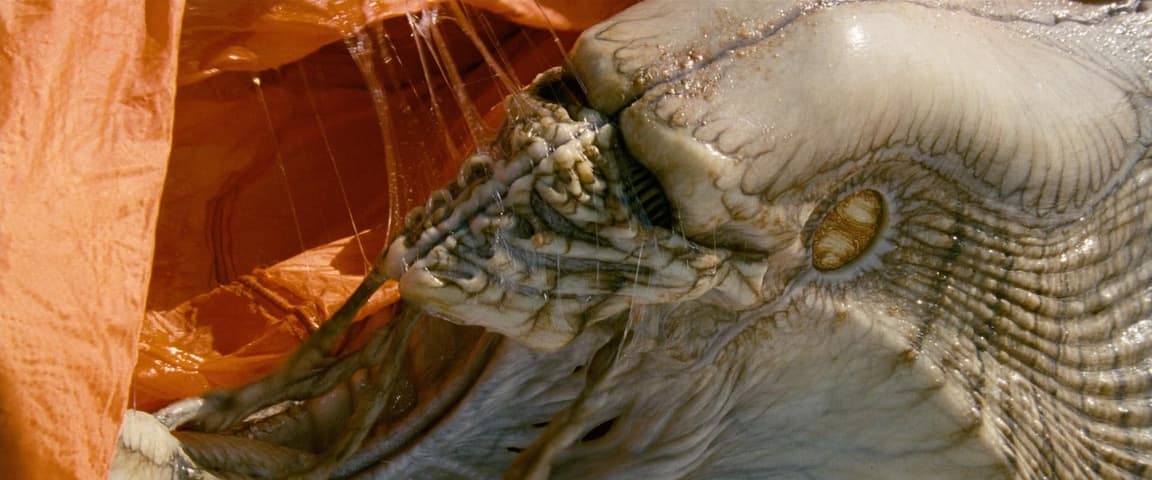 Image 3 de Independence Day