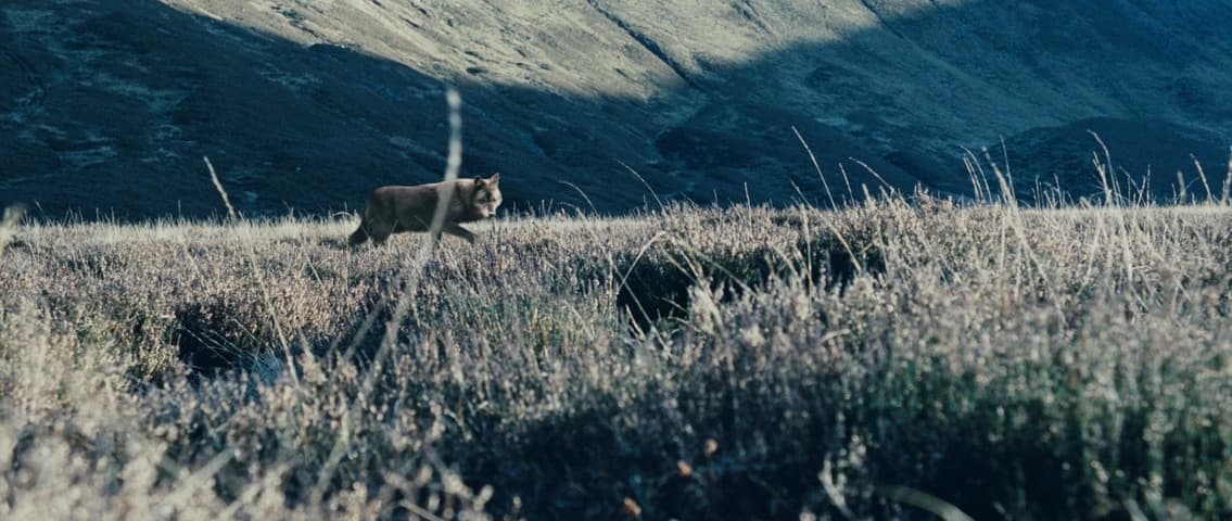 Image 4 de Centurion
