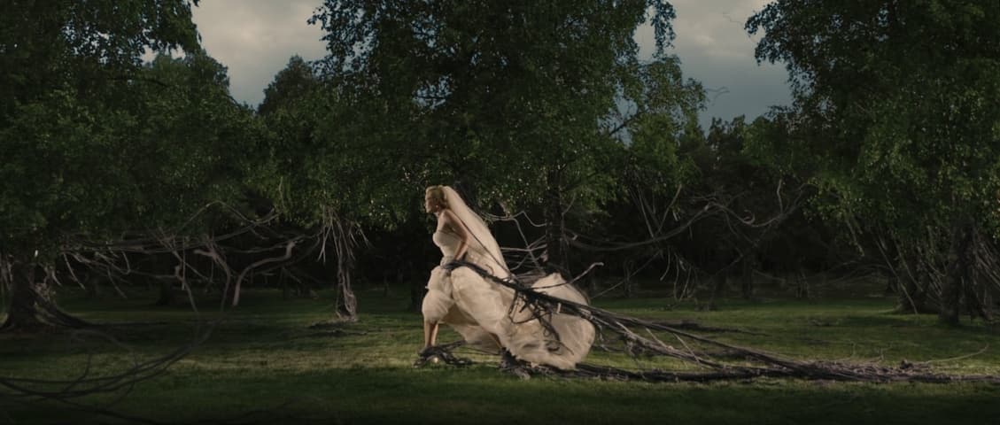 Image 1 de Melancholia