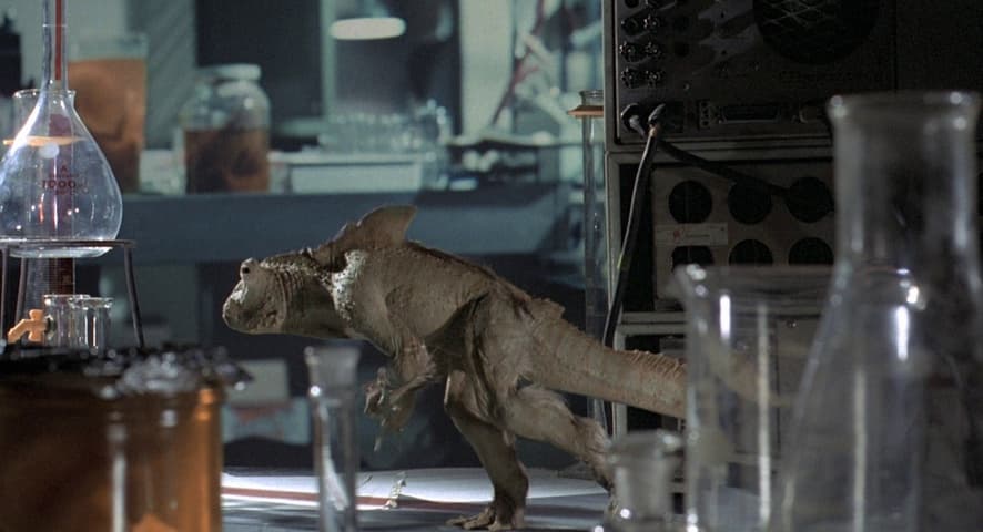 Piranha frame 4