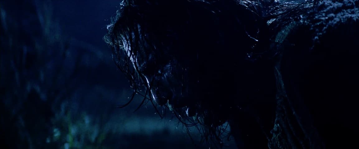 Image 3 de The Passion of the Christ