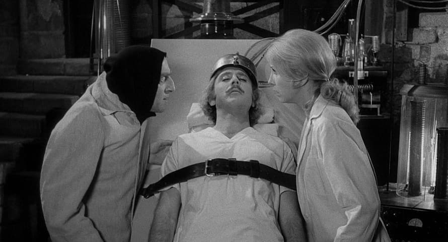 Image 1 de Young Frankenstein