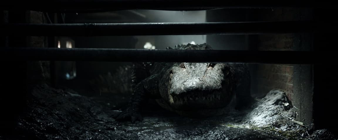 Image 4 de Crawl