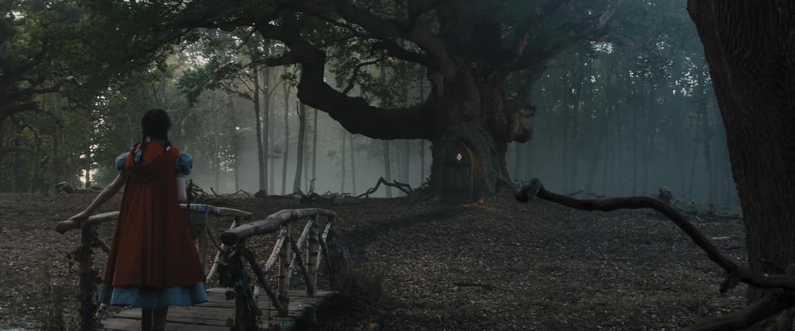 Into the Woods frame 3