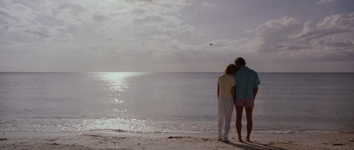 Image 4 de Manhunter