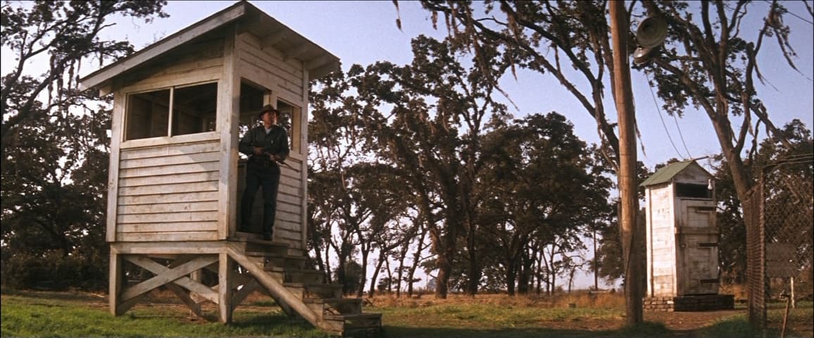 Image 4 de Cool Hand Luke