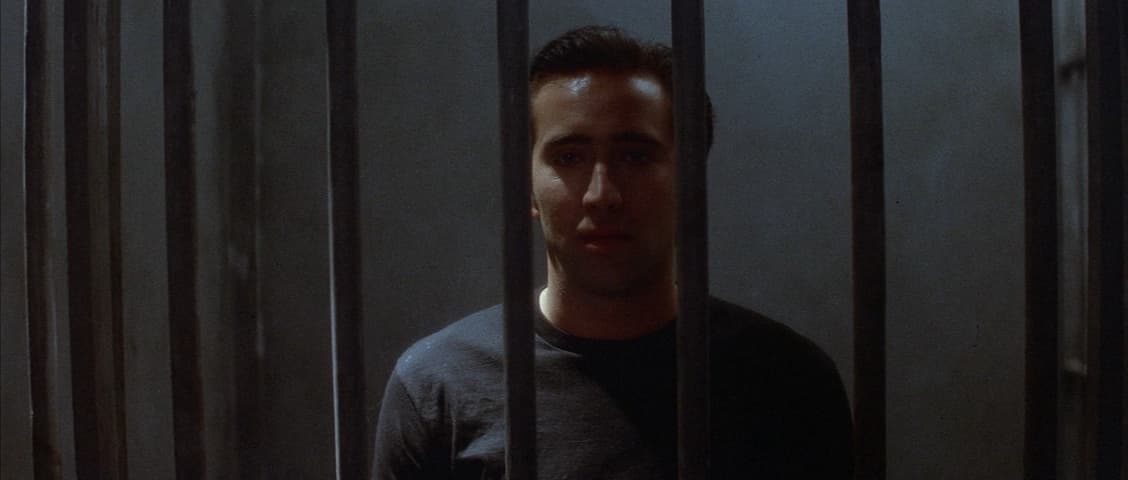 Image 2 de Wild at Heart