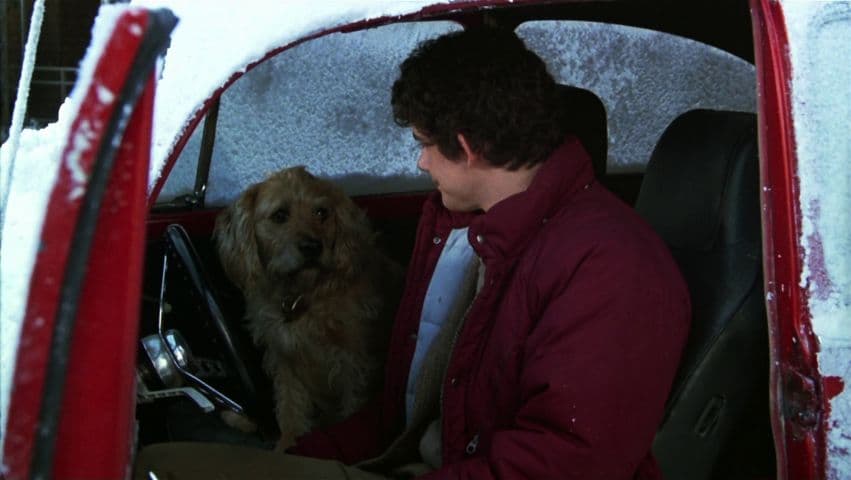 Image 1 de Gremlins