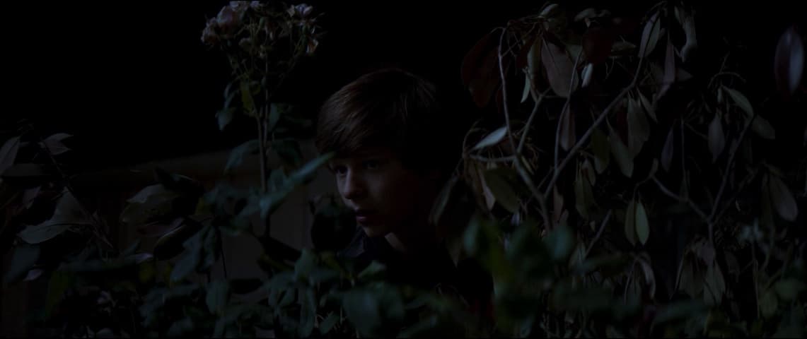 Image 1 de Summer of 84
