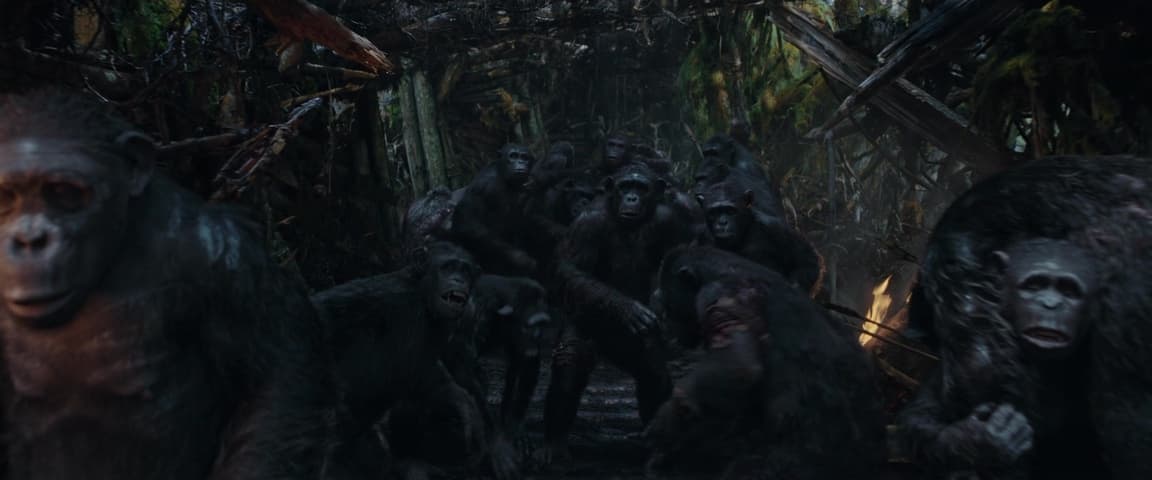 Image 4 de War for the Planet of the Apes