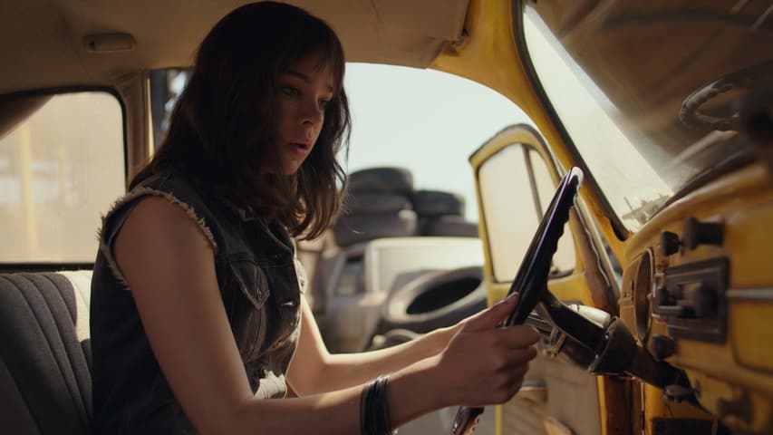 Bumblebee frame 4