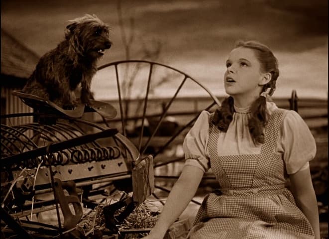 The Wizard of Oz frame 3