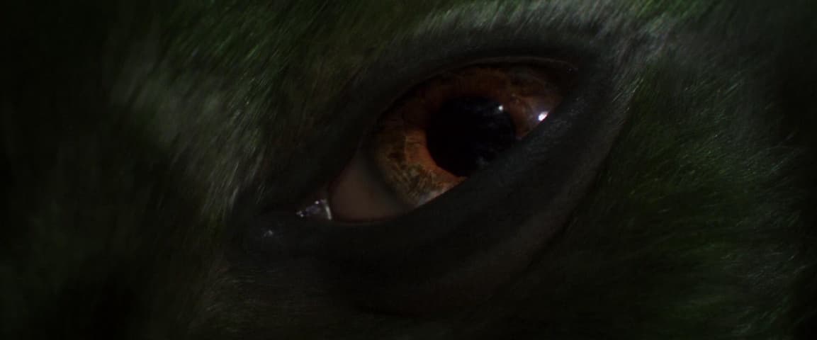 Image 4 de Pete's Dragon