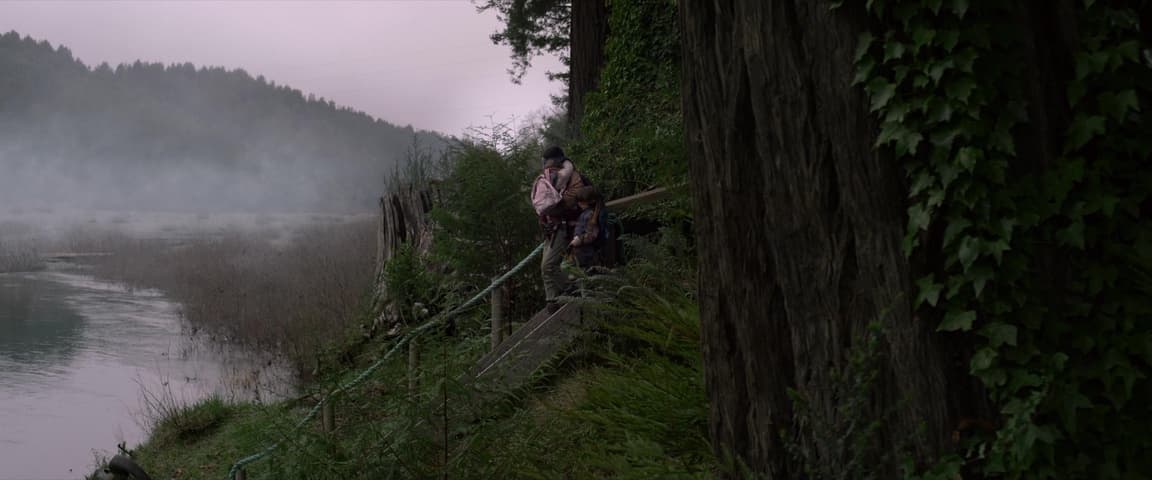 Bird Box, кадр 1