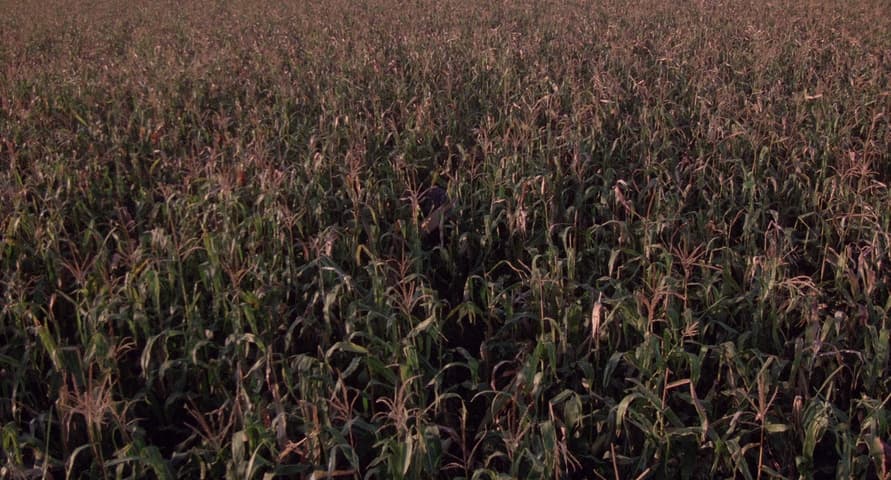 Children of the Corn frame 2