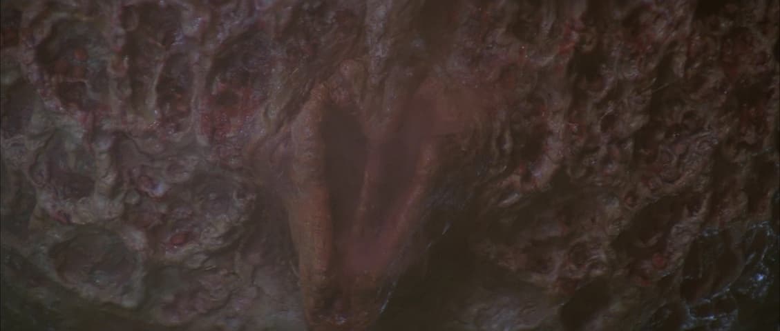 Image 3 de Dune