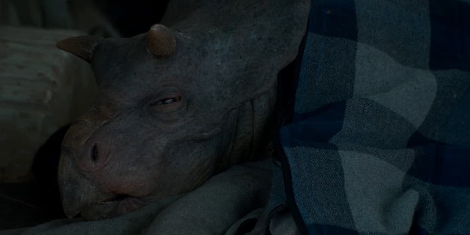 Image 1 de Jurassic World Dominion